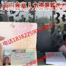 自費出國留學中介服務 選擇、評估與避坑指南